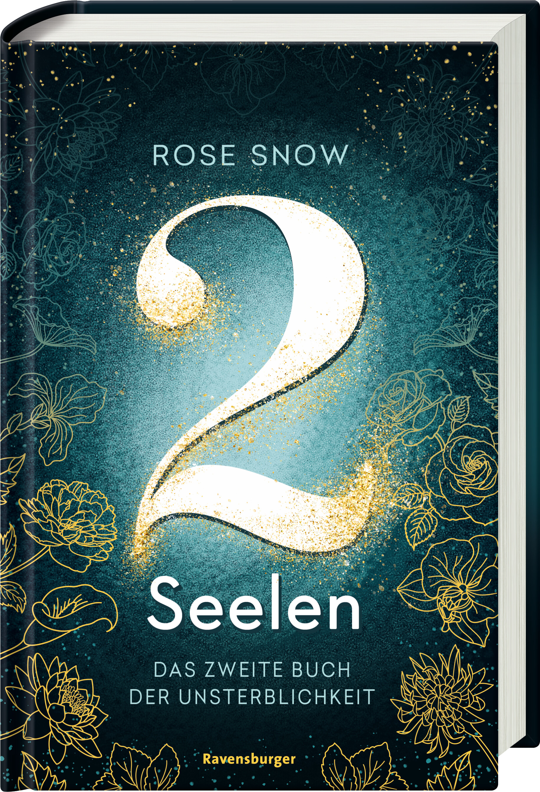 2 Seelen. Das zweite Buch der Unsterblichkeit (Mängelexemplar)