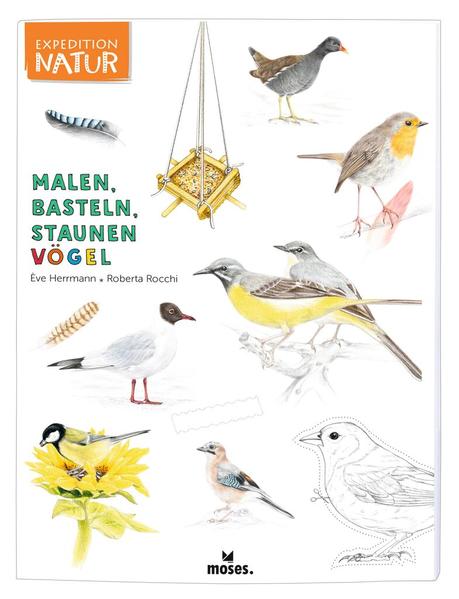 Aktion: Expedition Natur: Malen, Basteln, Staunen - Vögel