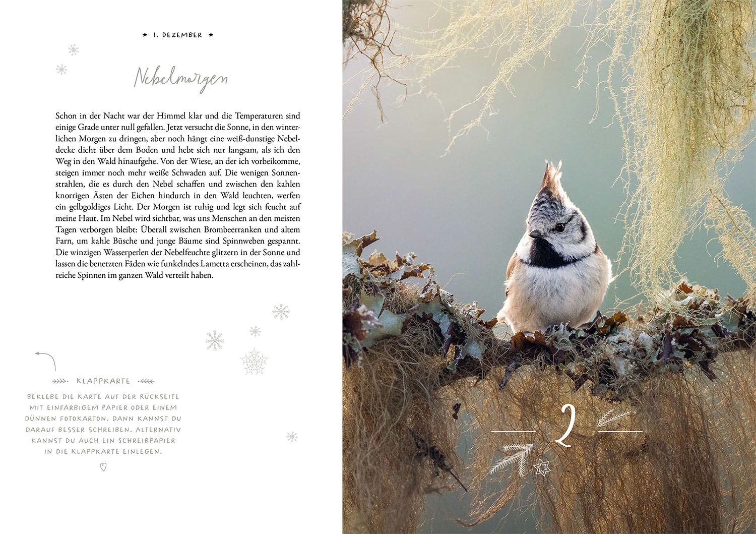 Winter Moments in Nature – der Adventskalender (Mängelexemplar)