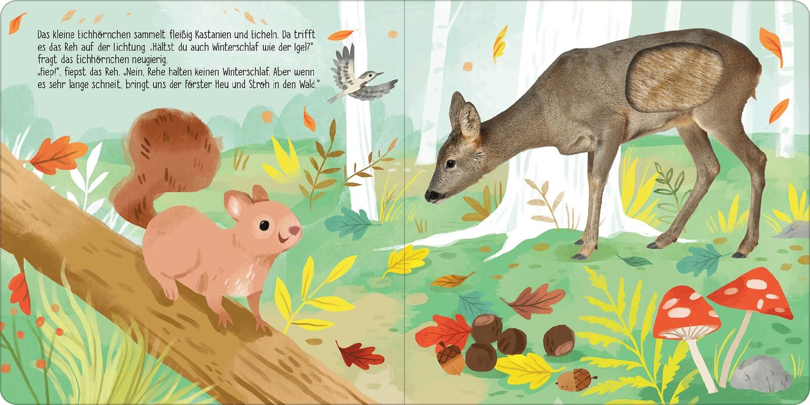 Aktion: Hör mal, kleines Eichhörnchen! (Soundbuch)