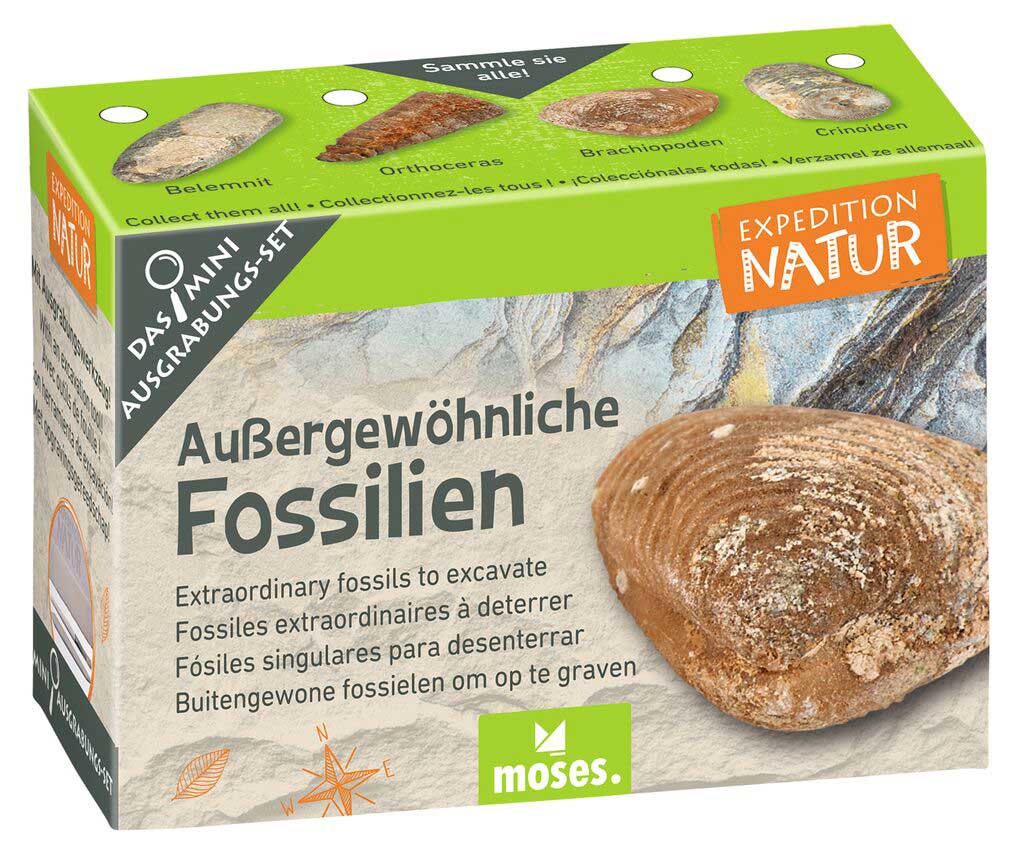 X_Expedition Natur - Mini-Ausgrabungsset (Inhalt wird zufällig gewählt)