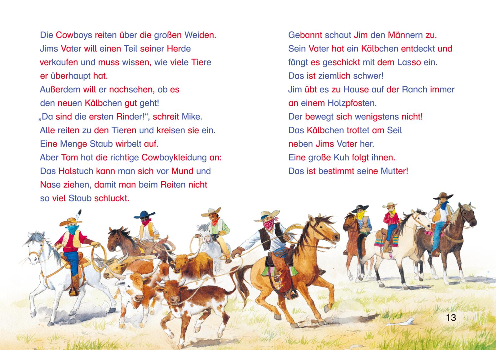 LESEMAUS zum Lesenlernen Sammelbände: Spannende Silben-Geschichten zum Lesenlernen (Mängelexemplar)