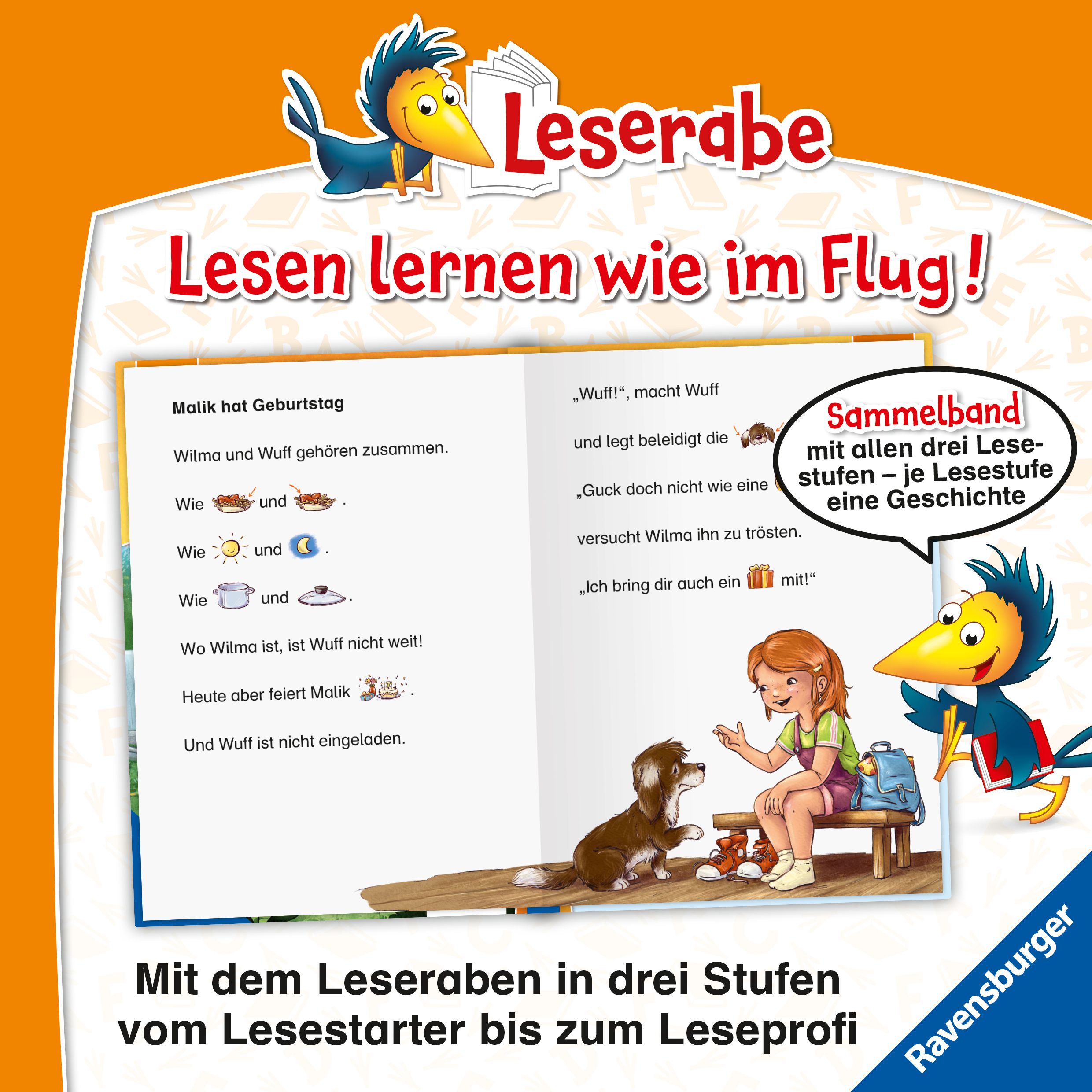 Leserabe Sonderausgaben - Hundegeschichten zum Lesenlernen (Mängelexemplar)
