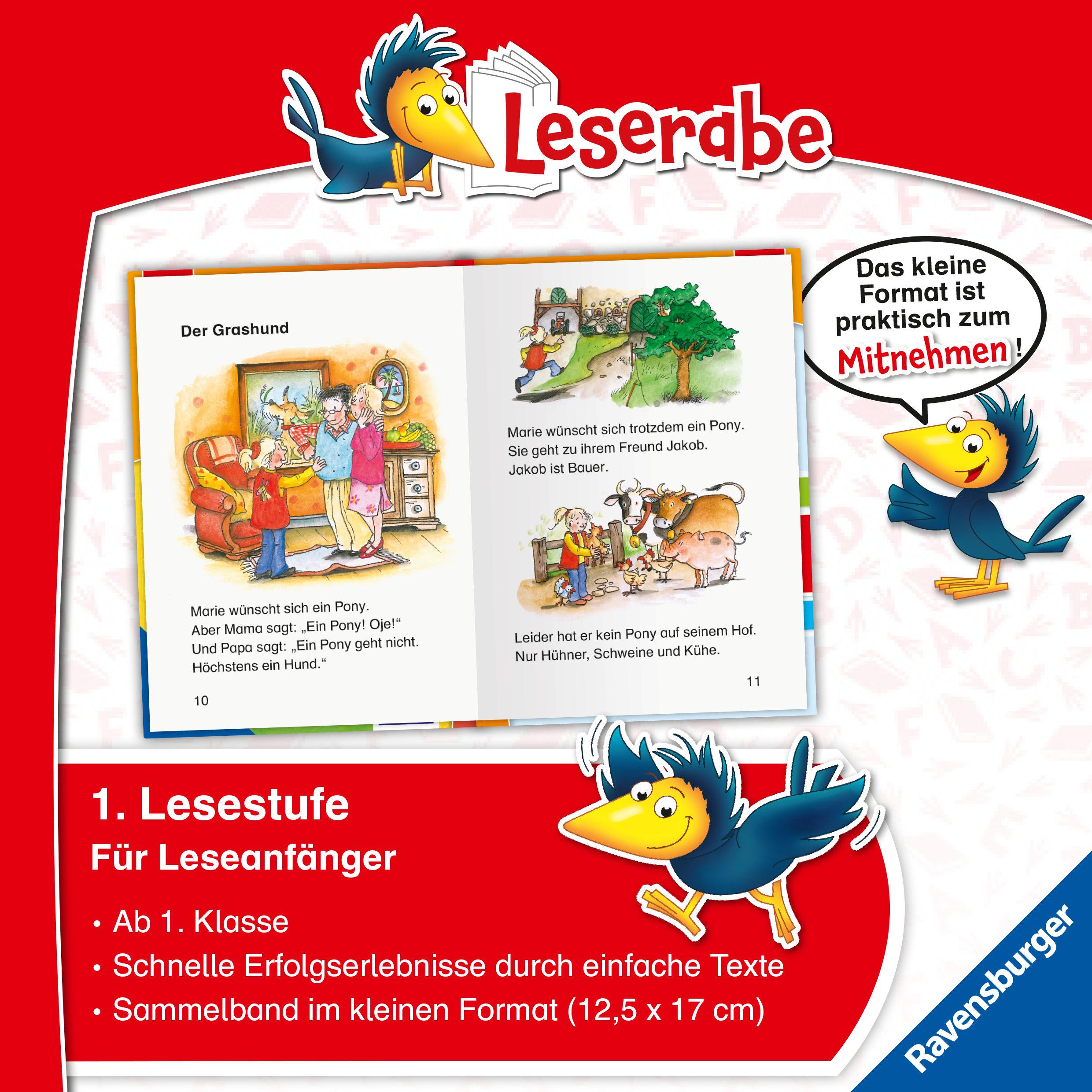 Leserabe Sonderausgaben - Erstlesegeschichten - Ponys und Pferde (Mängelexemplar)