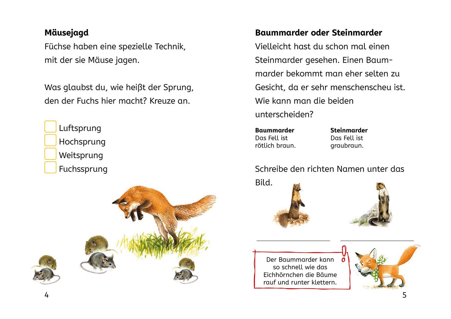 Lesen lernen mit Naturrätseln, Bücherhelden 2. Klasse, Tiere und Pflanzen im Wald (Mängelexemplar)