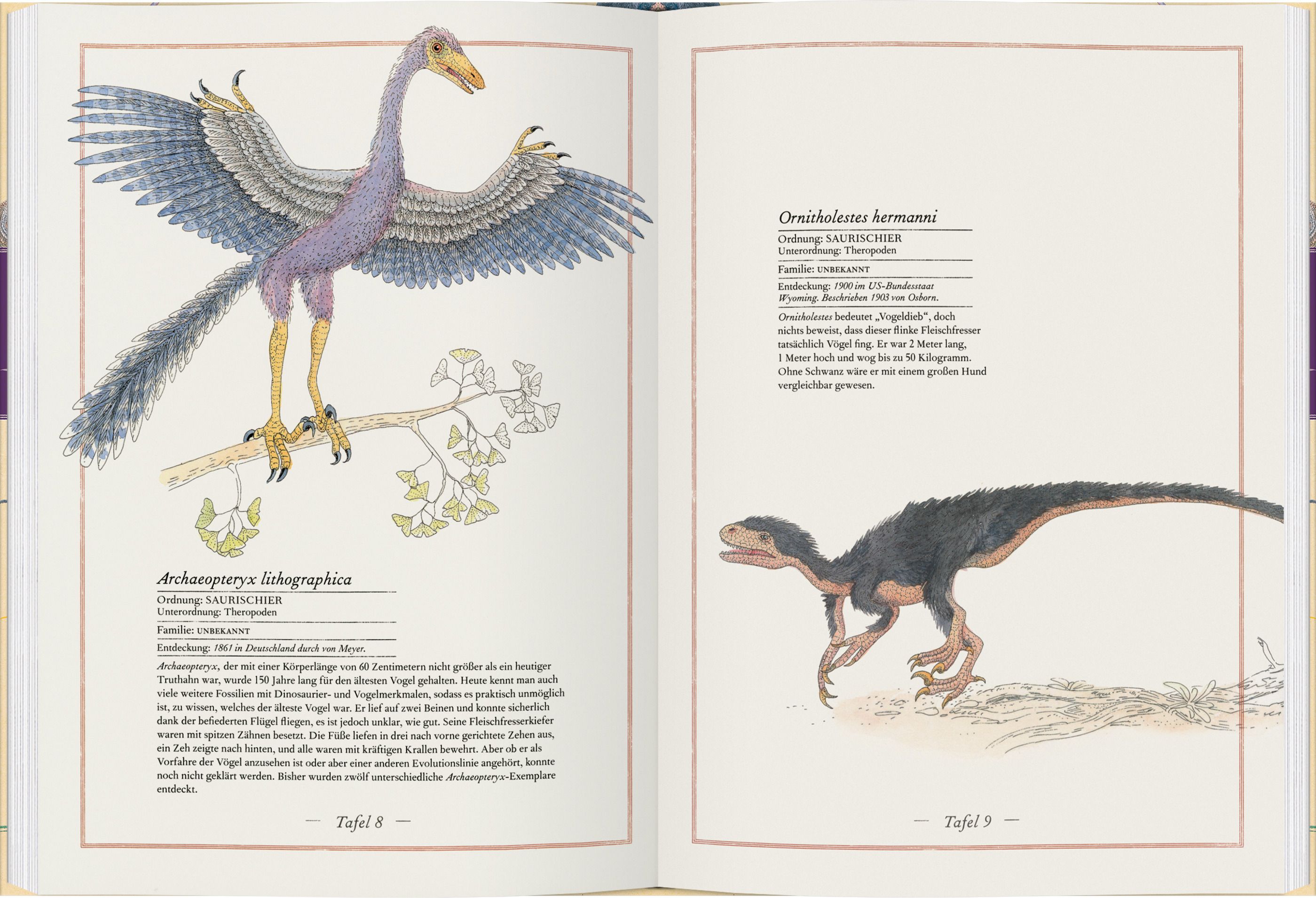 Triceratops, T-Rex, Supersaurus