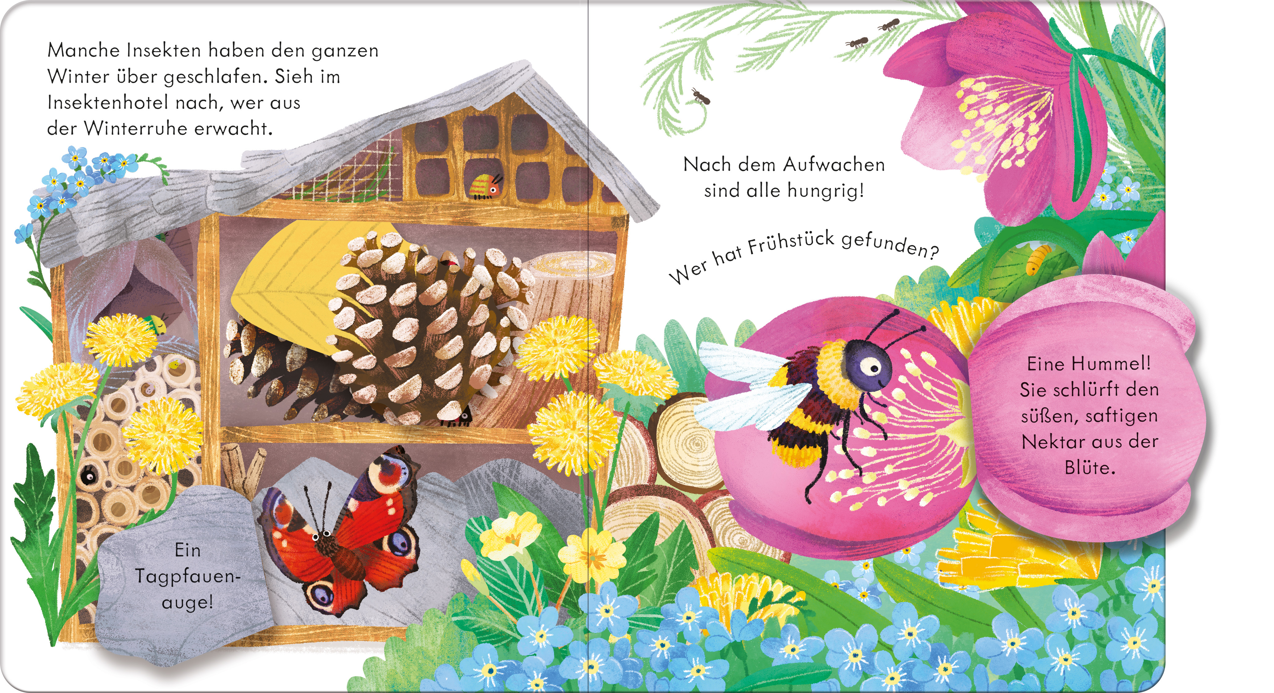 Guck mal, wer da ist! Im Frühling (Mängelexemplar)