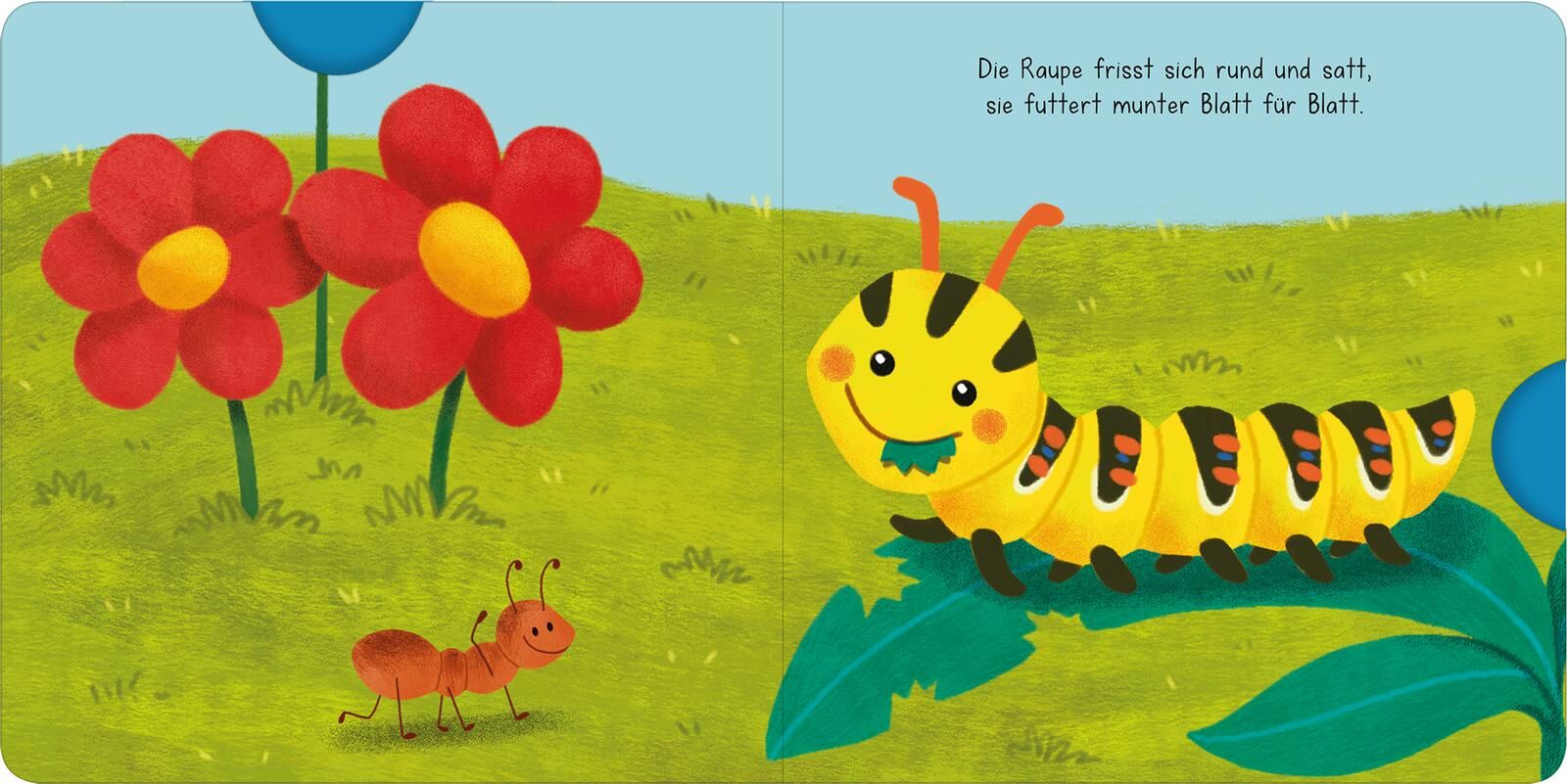 Kni-Kna-Knatterbuch – Kleine Tiere