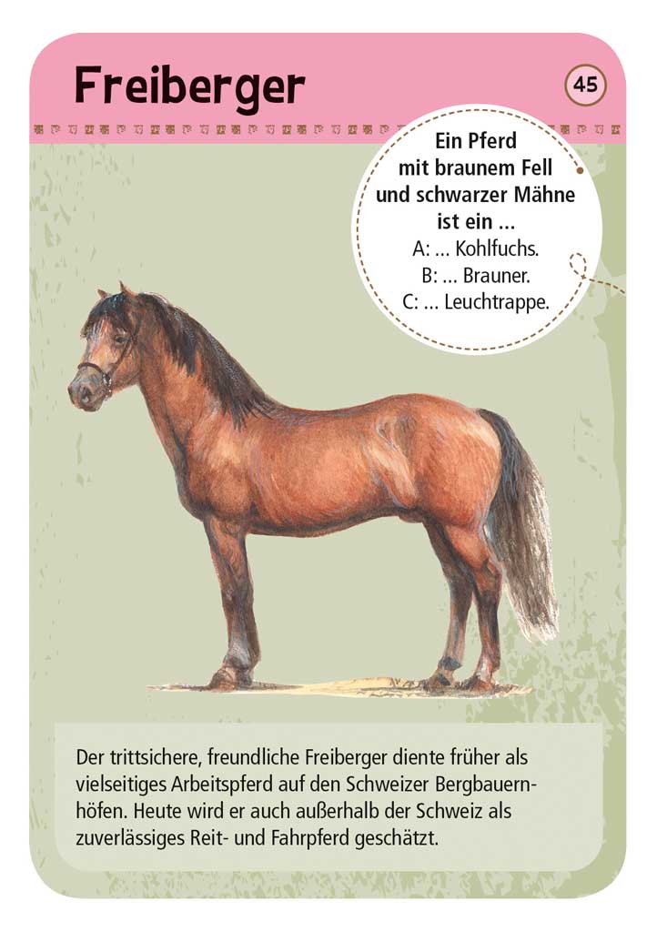 X_Expedition Natur - 50 Pferde & Ponys