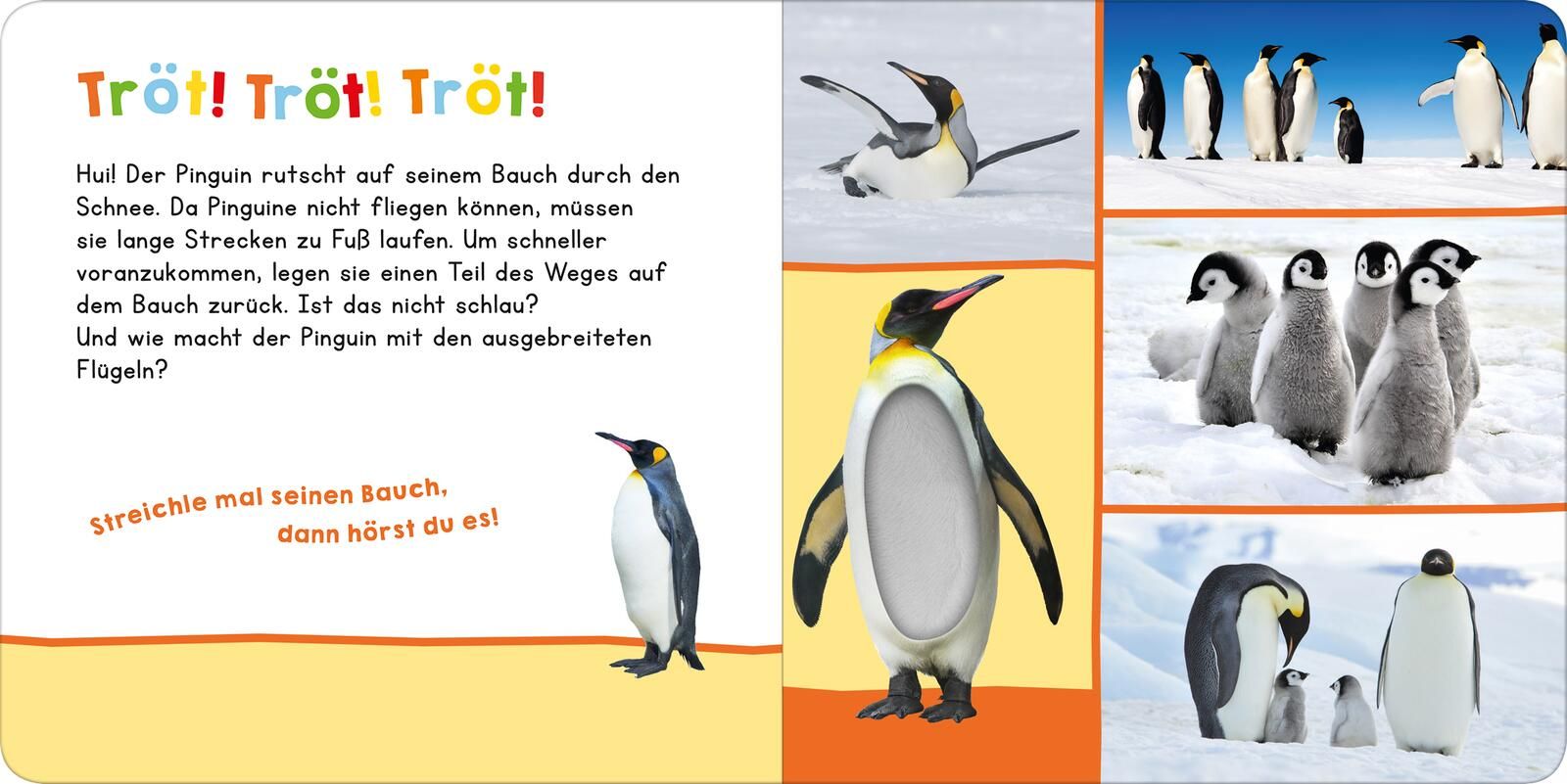 Hör mal rein, wer kann das sein? Im Winter - Soundbuch (Mängelexemplar)