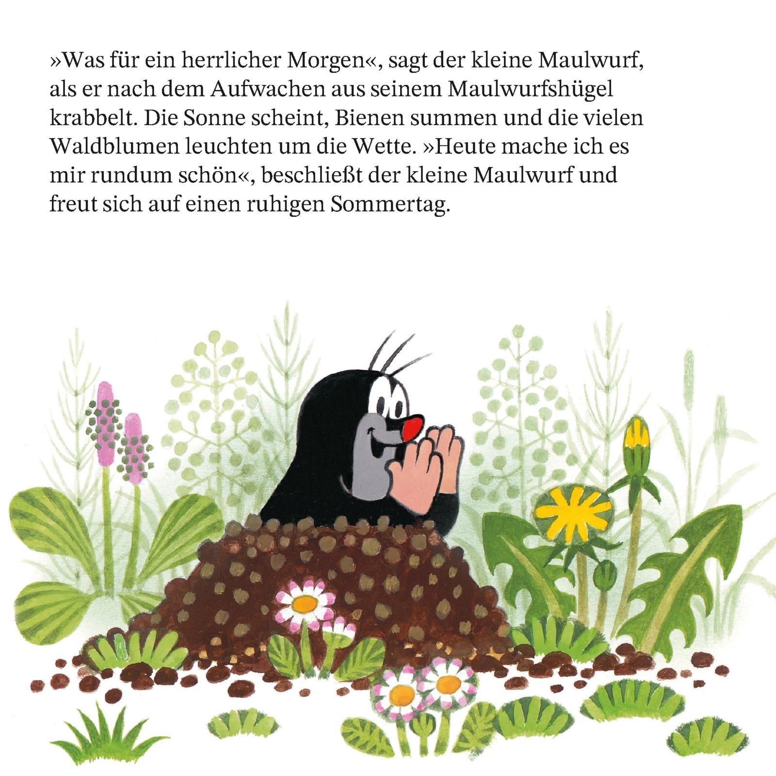 Maxi Pixi 468: Ein Tag mit dem kleinen Maulwurf (Mängelexemplar)
