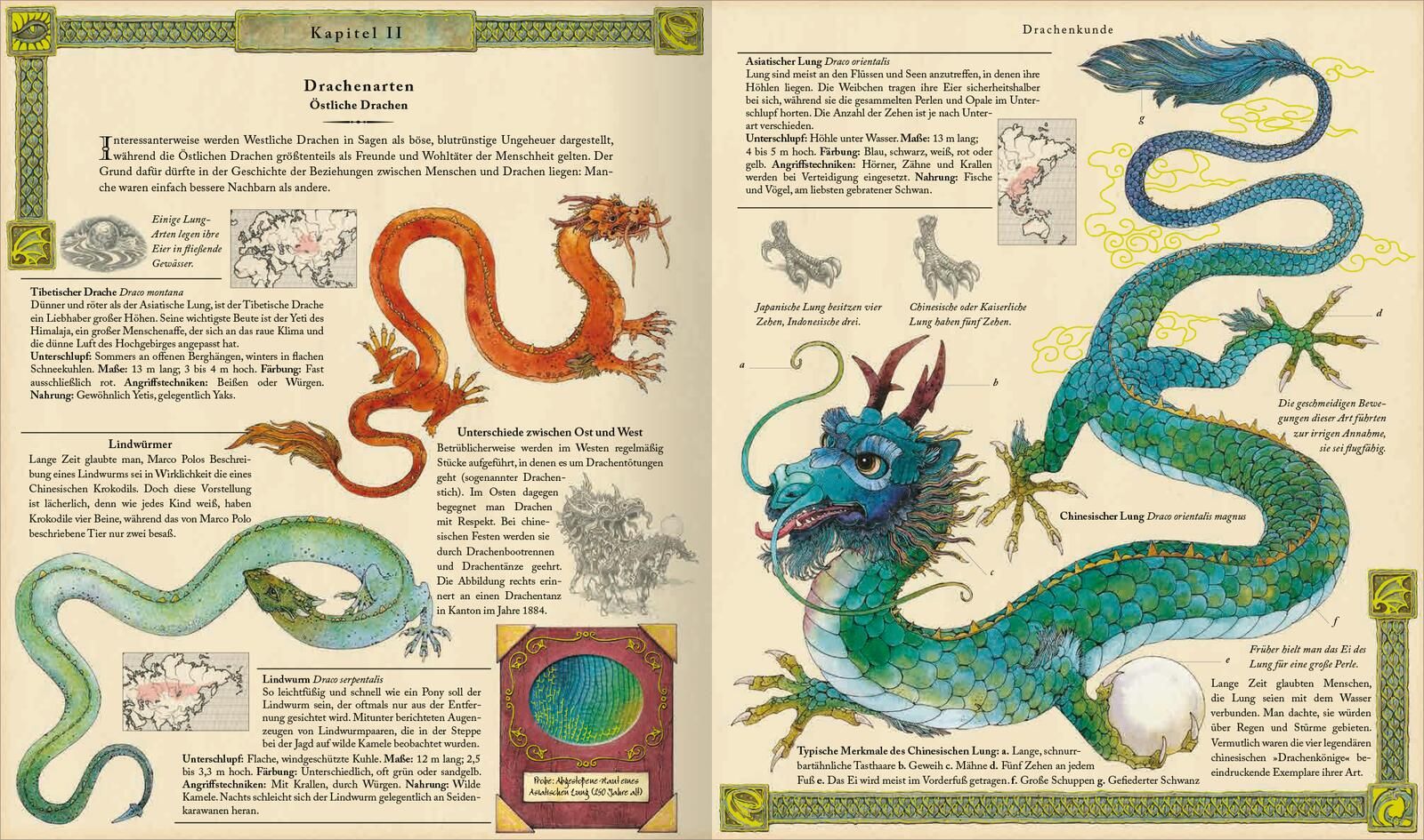 Expedition in die geheime Welt der Drachen (Mängelexemplar)