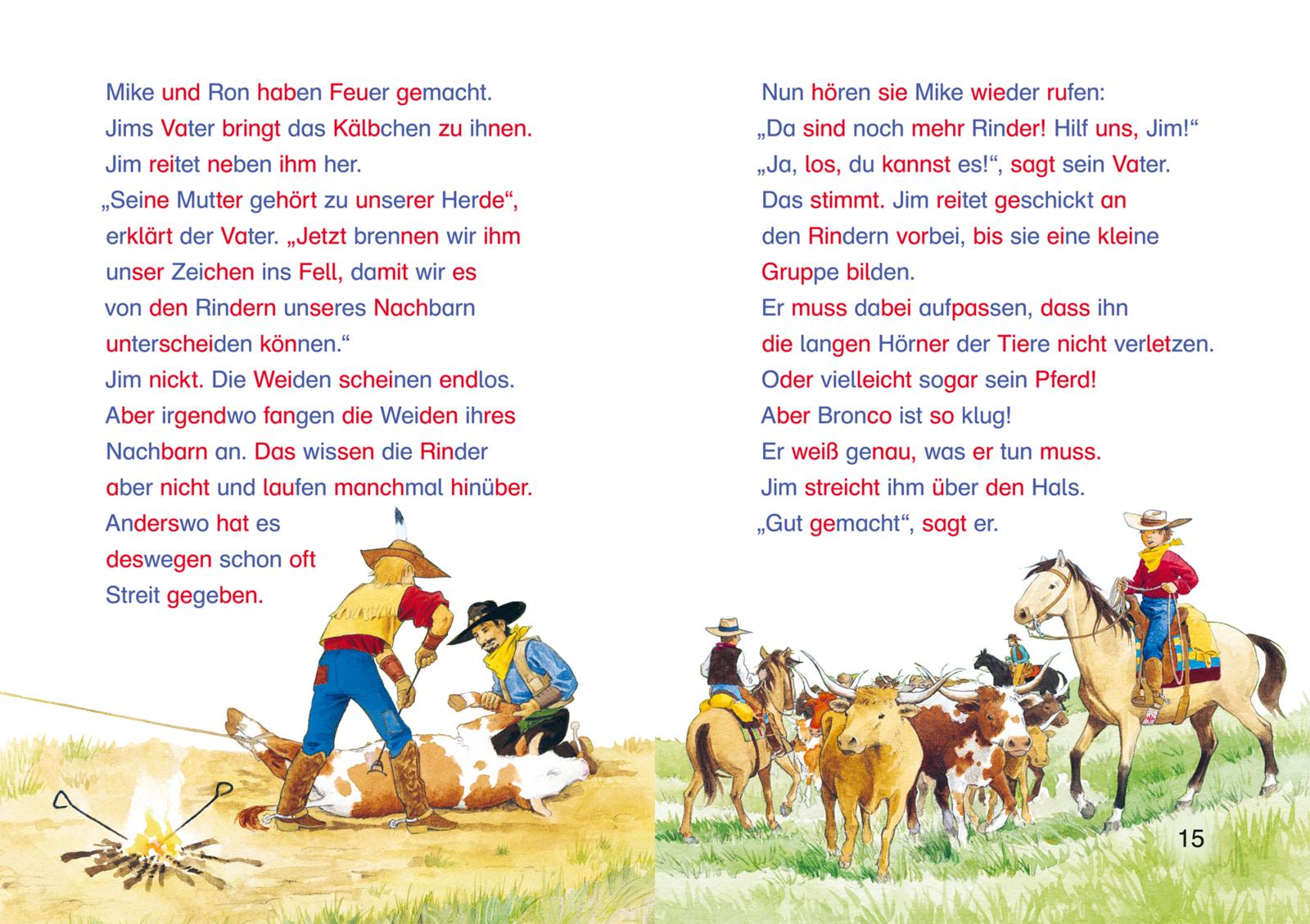 LESEMAUS zum Lesenlernen Sammelbände: Spannende Silben-Geschichten zum Lesenlernen (Mängelexemplar)