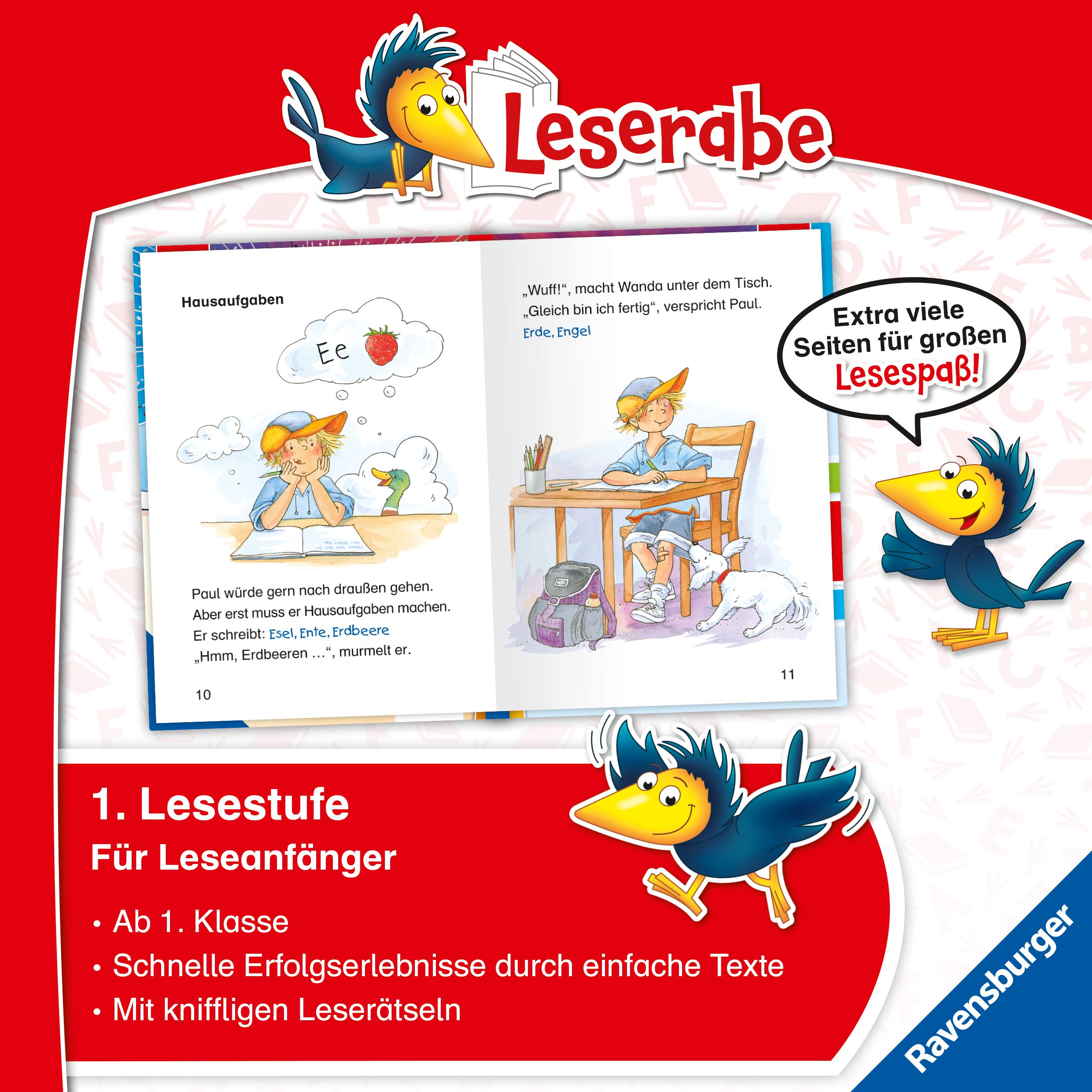 Leserabe Sonderausgaben - Schulabenteuer zum Lesenlernen (Mängelexemplar)
