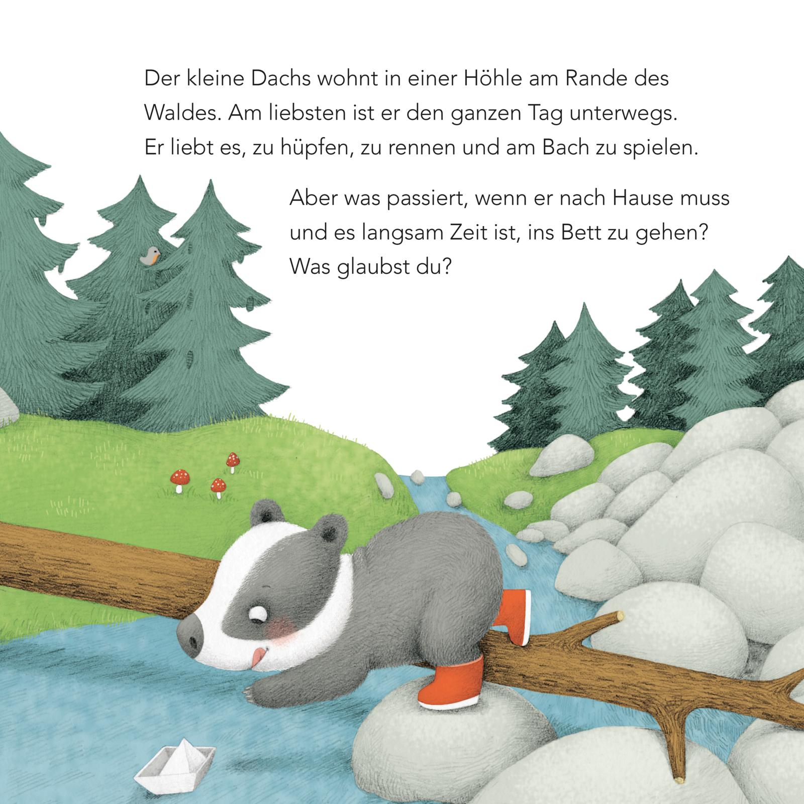Baby Pixi (unkaputtbar) 121: Ich bin gar nicht müde! sagt der kleine Dachs (Mängelexemplar)