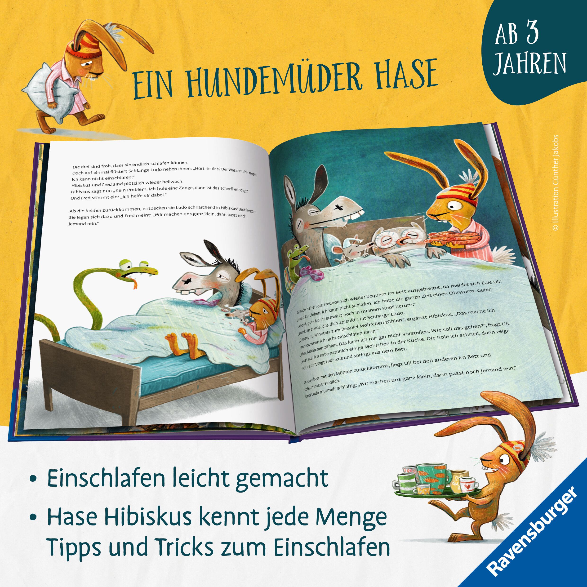Hase Hibiskus und die (K)Einschlafparty (Mängelexemplar)