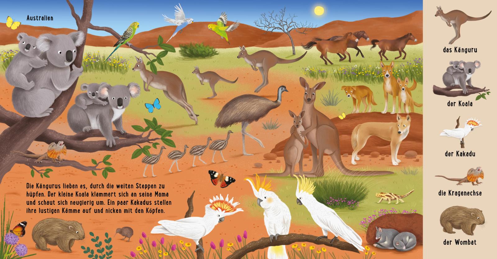 Mein erstes Natur-Wimmelbuch: Tiere aus aller Welt (Mängelexemplar)