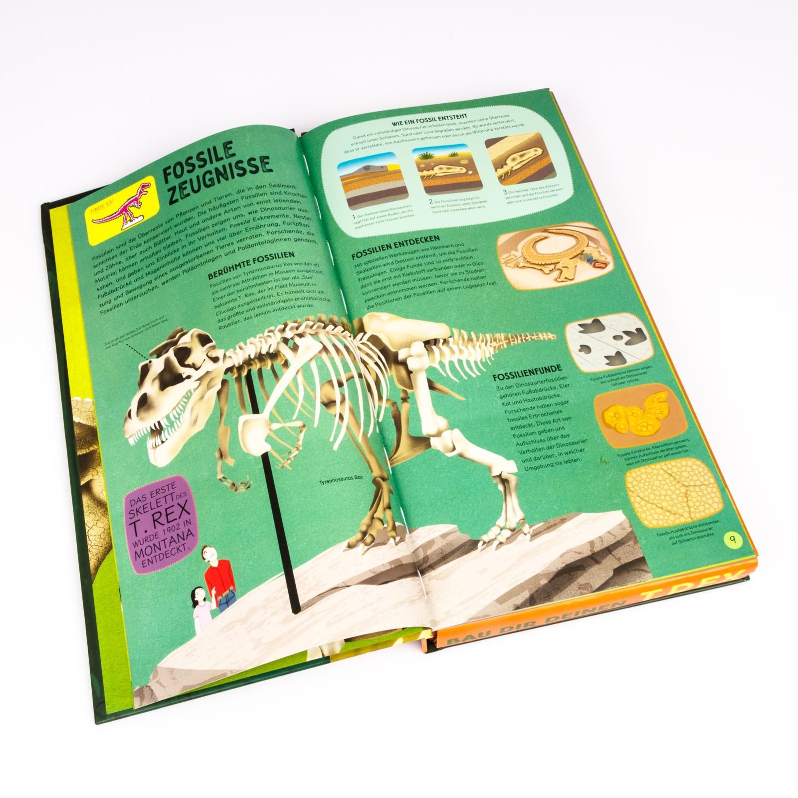 Bau dir deinen T. Rex (Mängelexemplar)