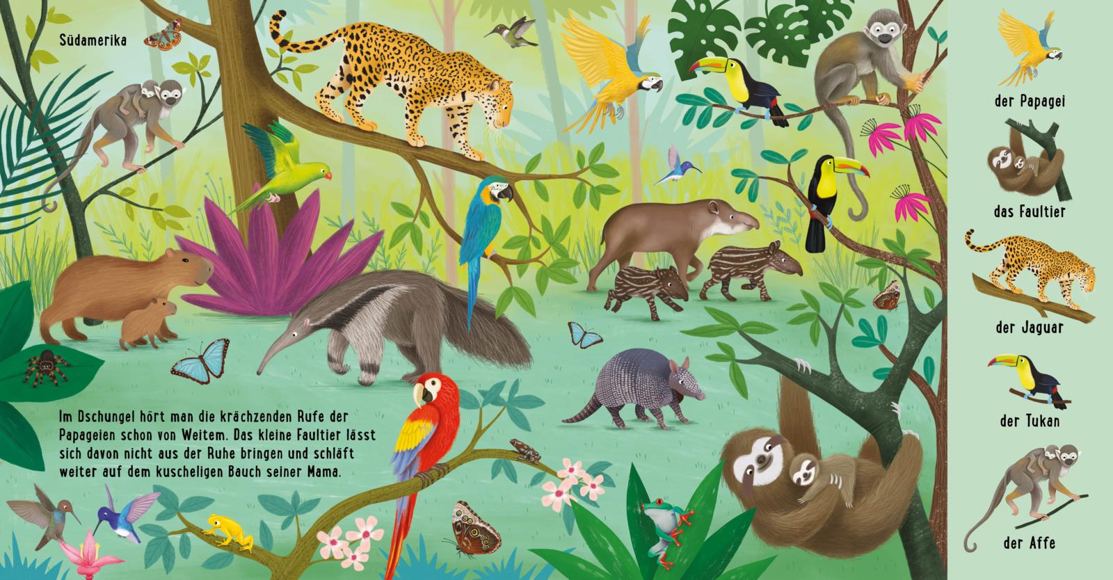 Mein erstes Natur-Wimmelbuch: Tiere aus aller Welt (Mängelexemplar)