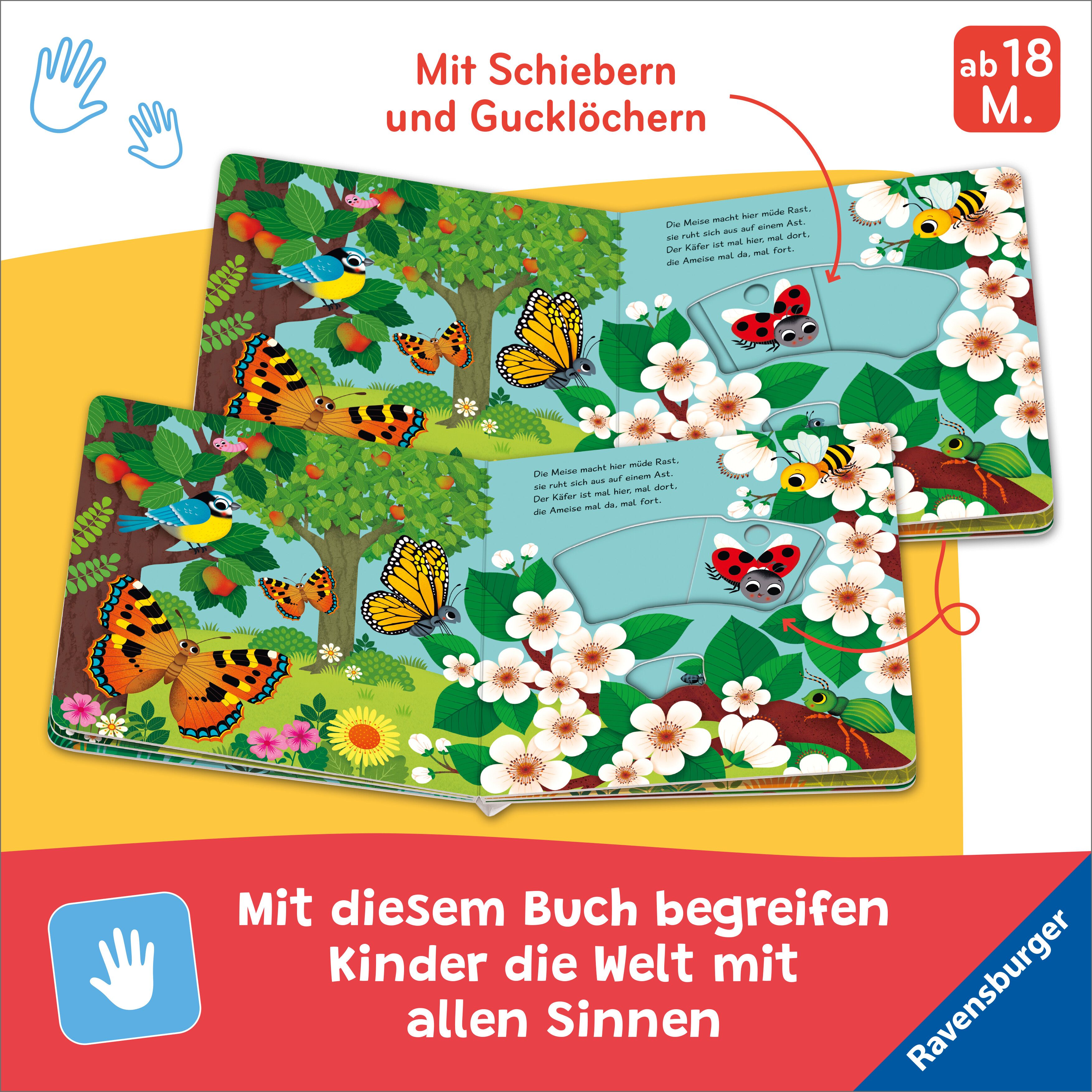 Mein Schiebe-Mitmachbuch - Kleine Tiere (Mängelexemplar)