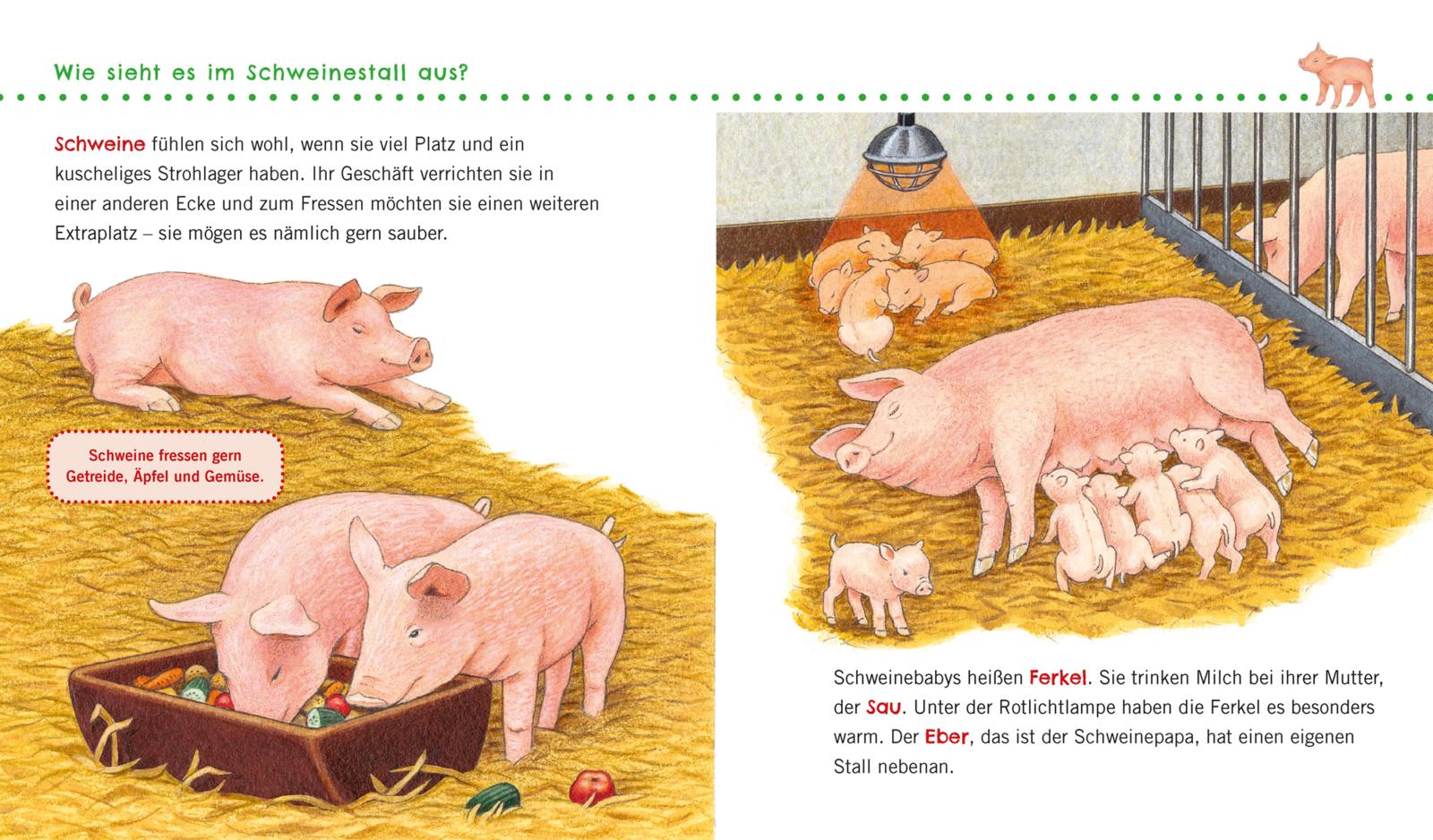 Unkaputtbar: Erstes Wissen: Unser Bauernhof (Mängelexemplar)