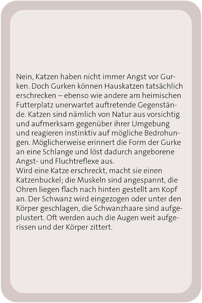 X_Das große Katzen Quiz (Mängelexemplar)