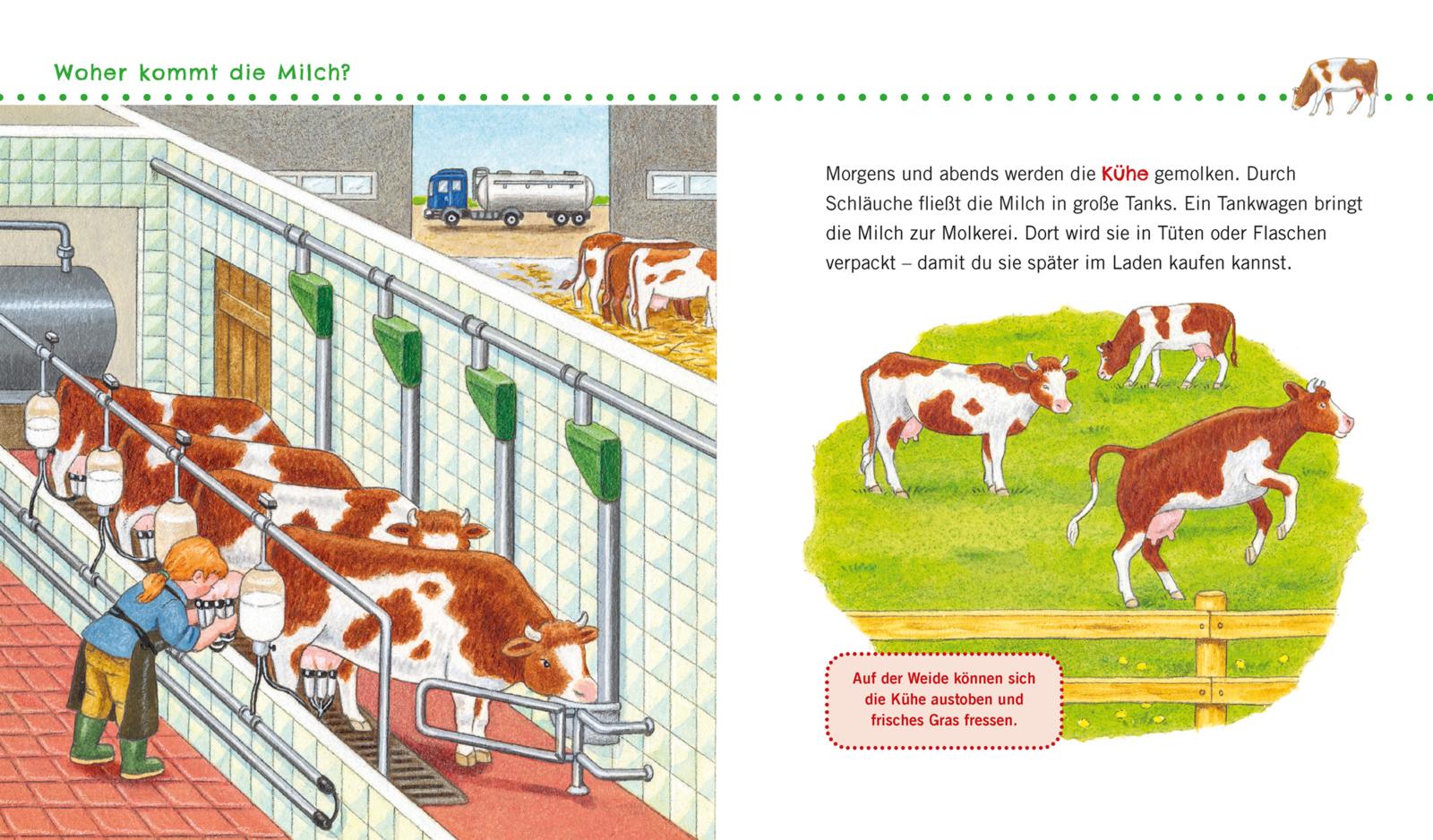 Unkaputtbar: Erstes Wissen: Unser Bauernhof (Mängelexemplar)