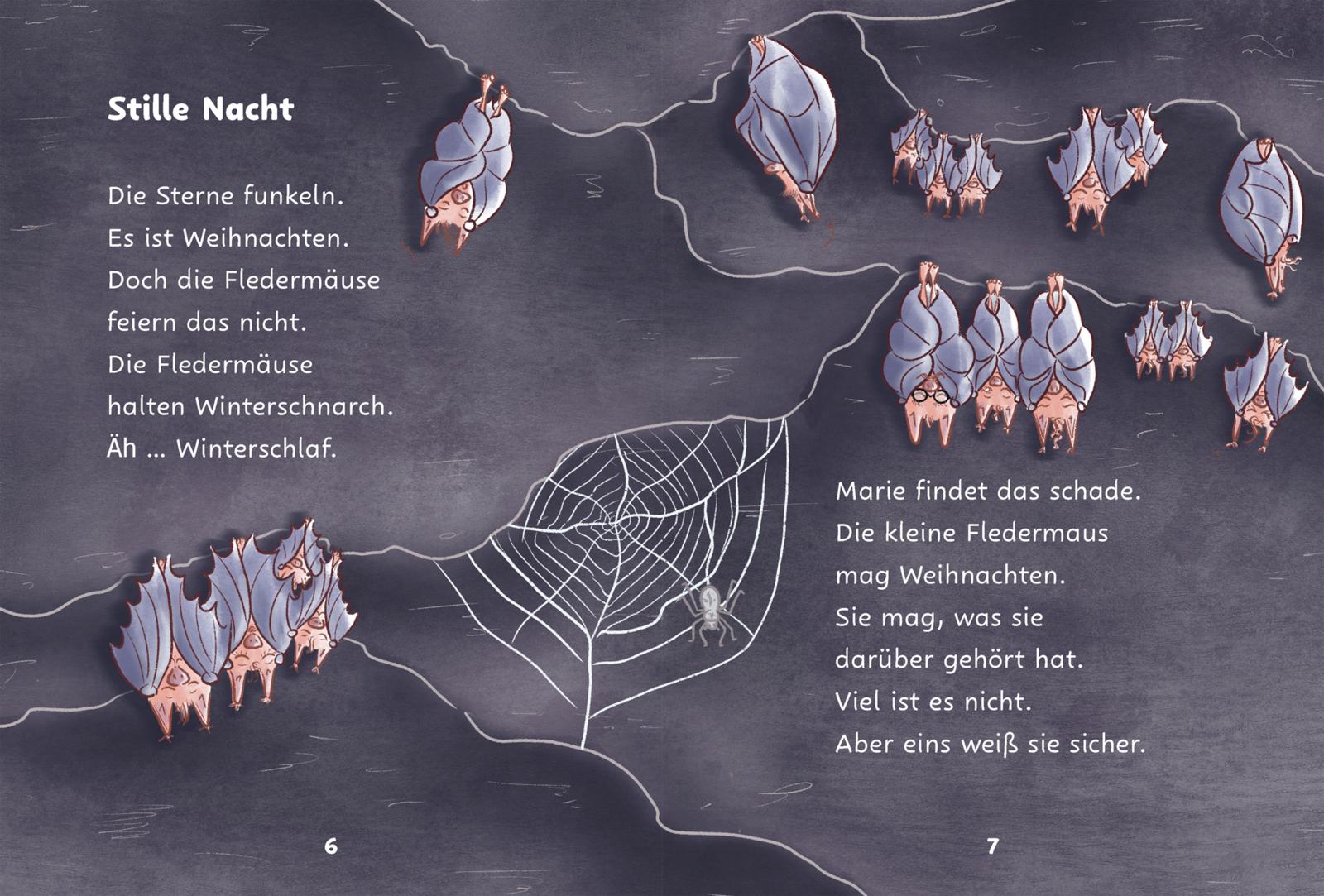 Weihnachten im Winterschlaf (Mängelexemplar)