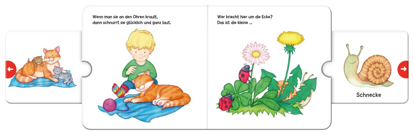Miau! Wer schleicht auf leiser Tatze? Die ... Katze! - Großausgabe - ab 18 Monaten
