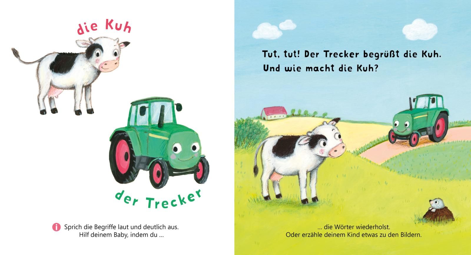 Baby Pixi (unkaputtbar) 162: Allererste Wörter: Meine Welt (Mängelexemplar)