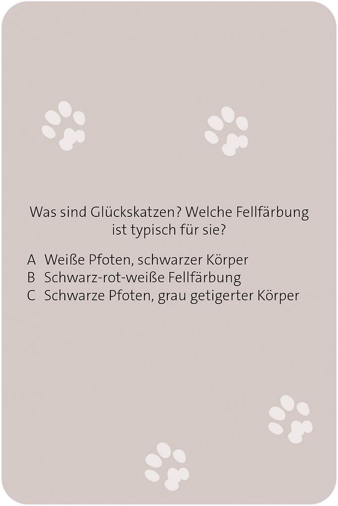 X_Das große Katzen Quiz (Mängelexemplar)