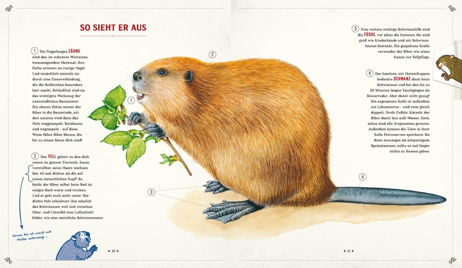 Die Schule der magischen Tiere: Mister Morrisons gesammeltes Tierwissen (Mängelexemplar)