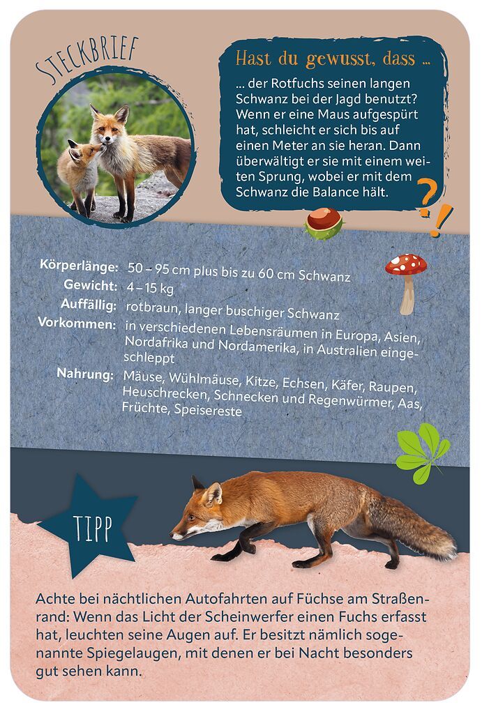 Die 100 schönsten Tiere der Welt (Mängelexemplar)
