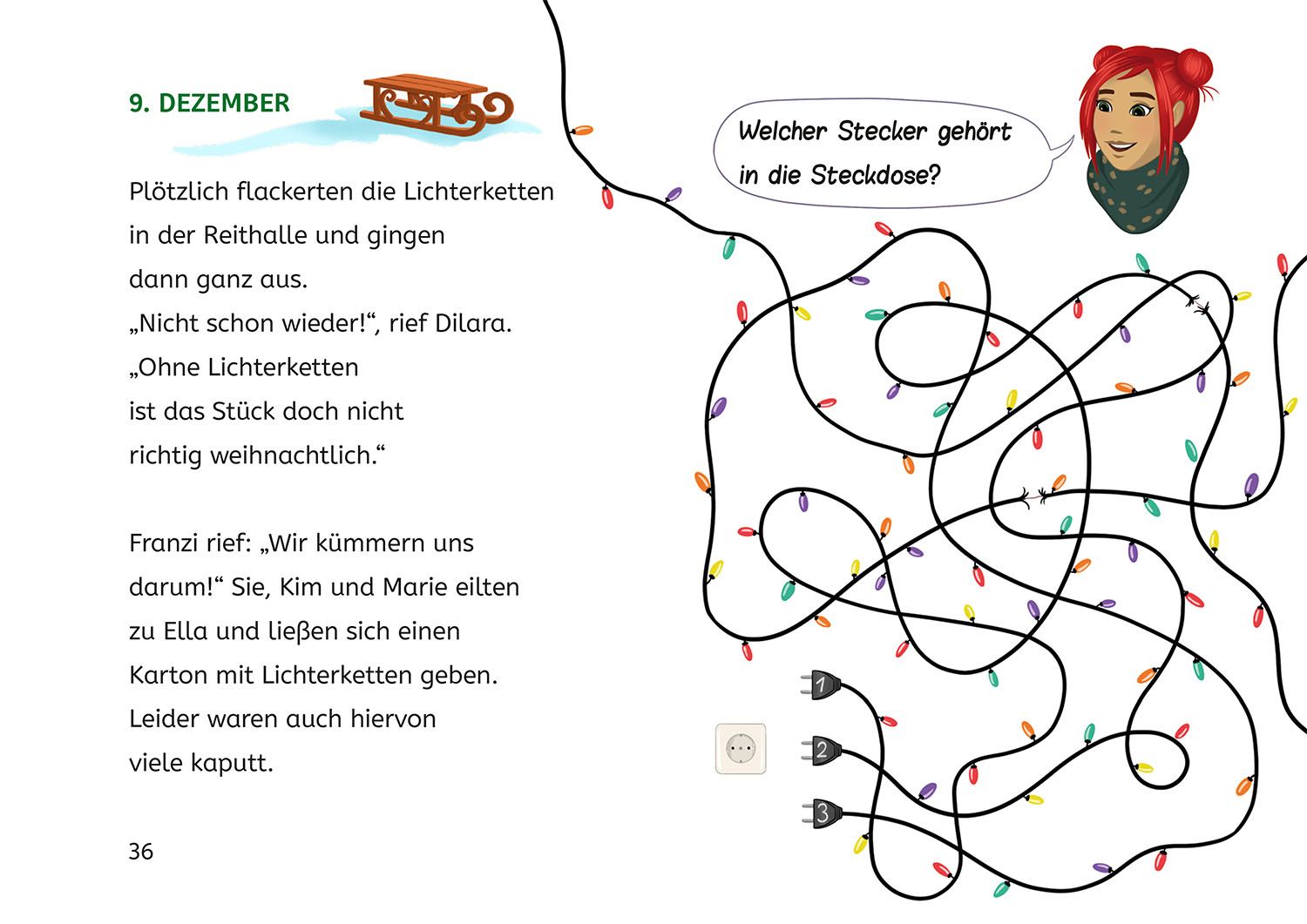 Die drei !!!, Bücherhelden 2. Klasse, Adventskalender, Wirbel um das Weihnachts-Pony (Mängelexemplar)
