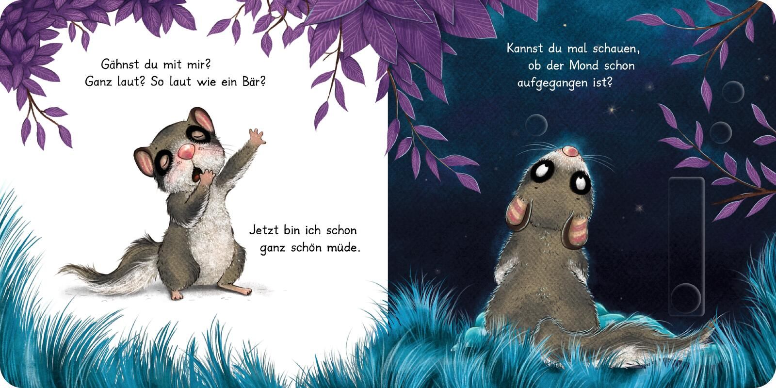 Der kleine Siebenschläfer: Bringst du mich ins Bett? (Mängelexemplar)
