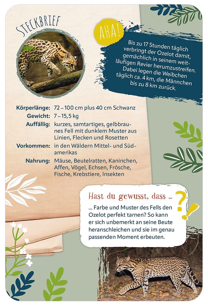 Die 100 schönsten Tiere der Welt (Mängelexemplar)