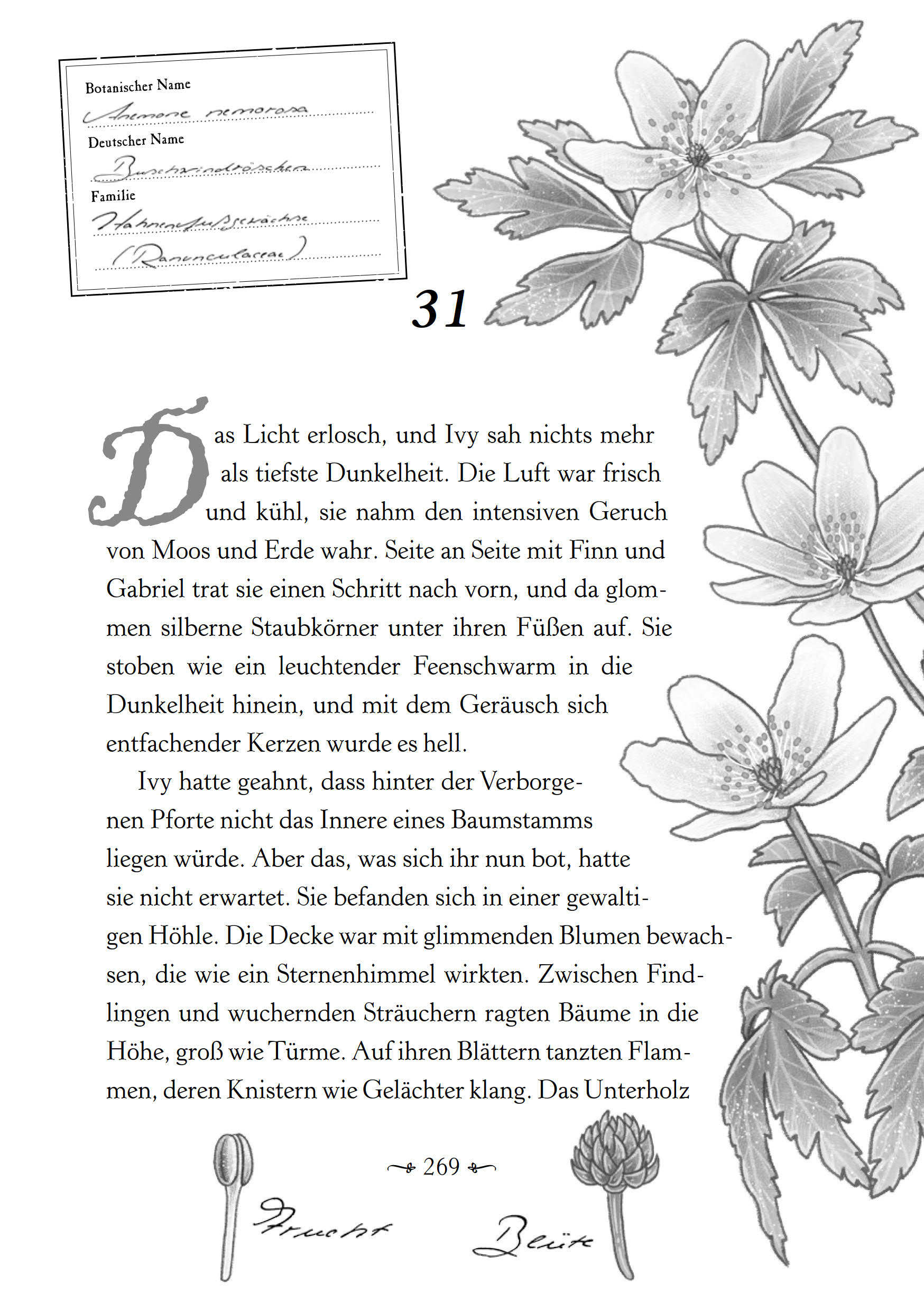 Ivy und die Magie des Poison Garden (Mängelexemplar)