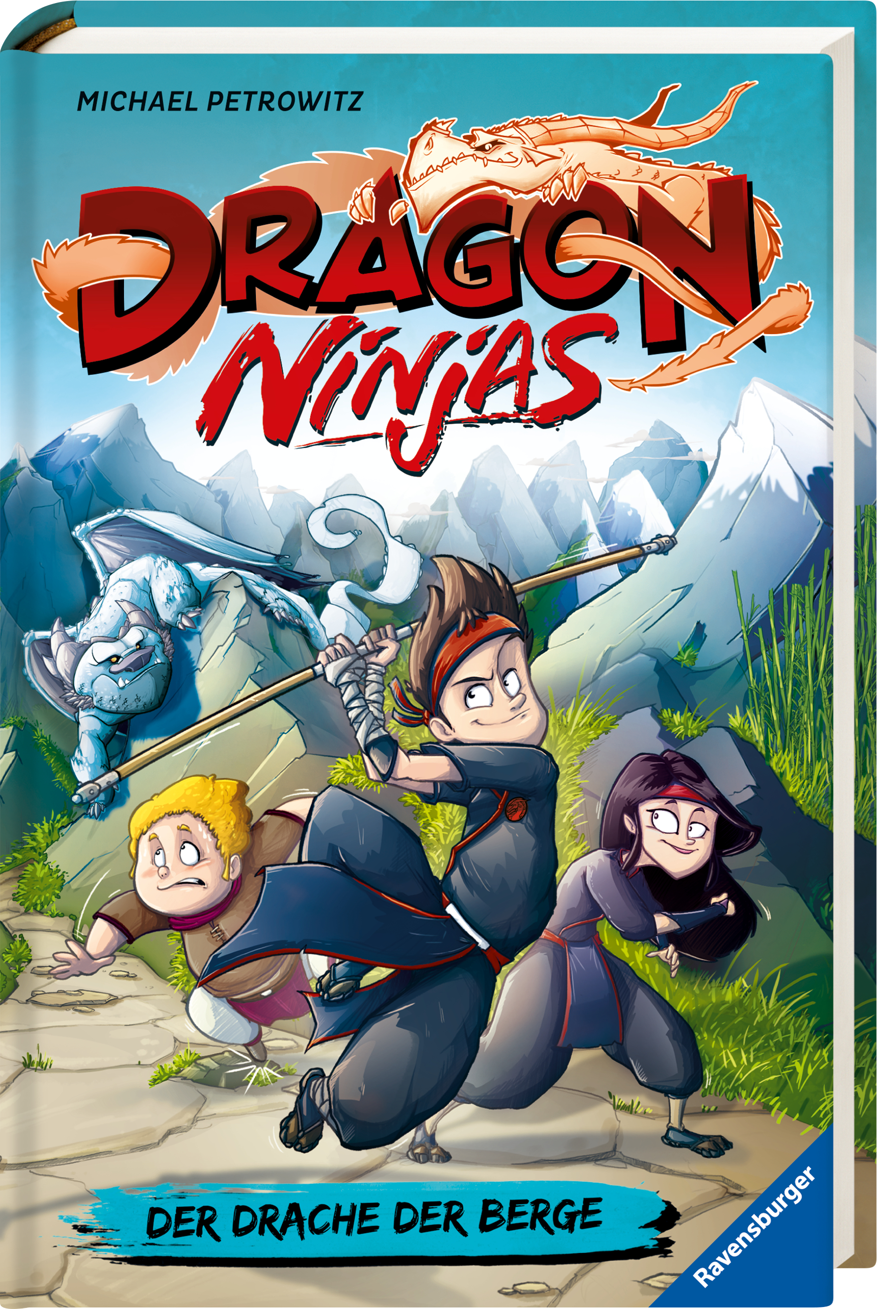 Dragon Ninjas, Band 1 - Der Drache der Berge (Mängelexemplar)