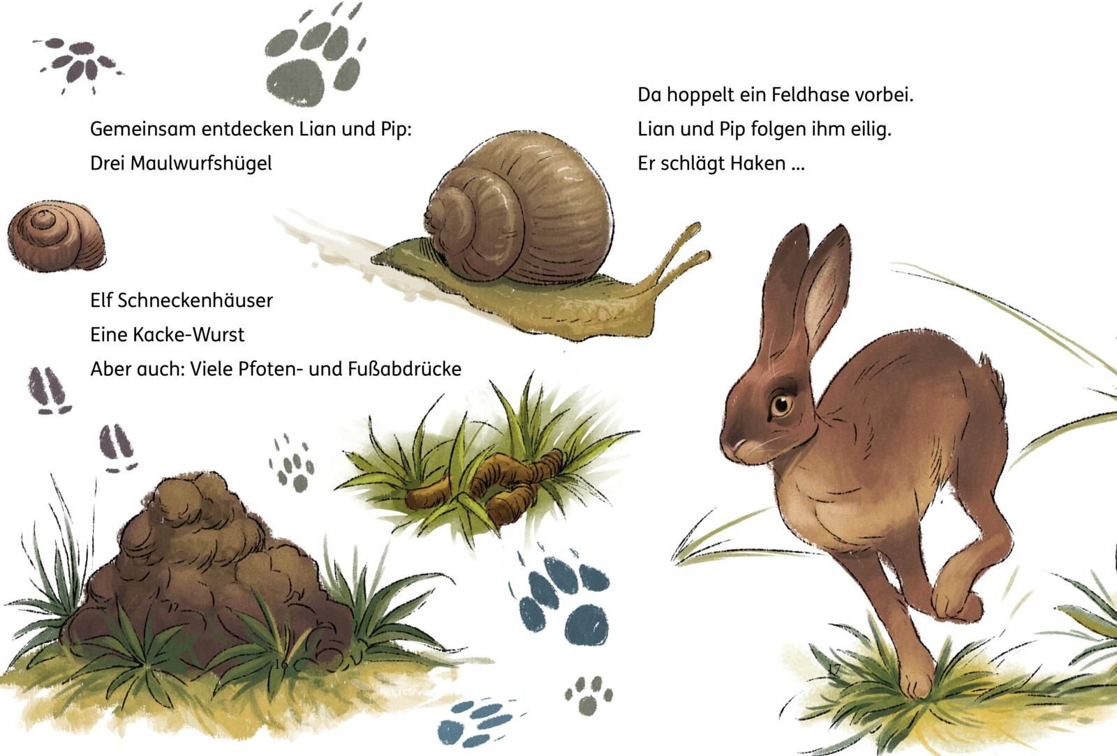 Lian, die Tierdetektivin 2: Wo ist Blob? - Einfach lesen lernen (Mängelexemplar)