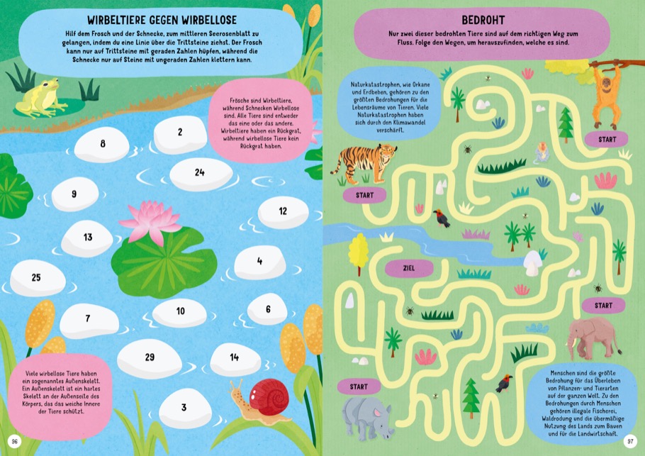 Großer Wissenschafts-Spiele-Spaß - Labyrinthe, Memory und mehr