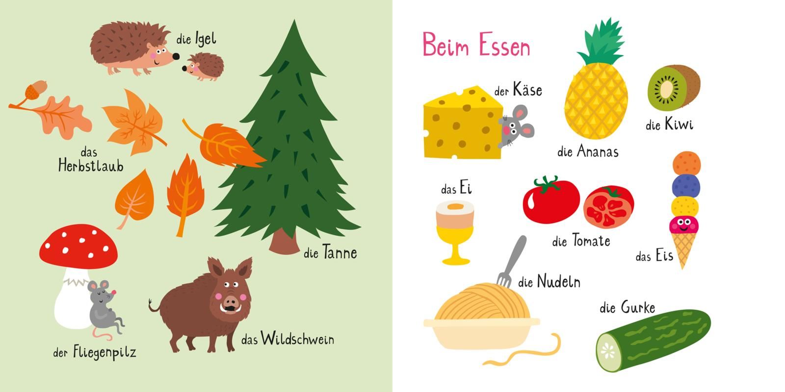 Baby Pixi (unkaputtbar) 98: Mein Baby-Pixi-Buggybuch: Meine ersten Wörter (Mängelexemplar)