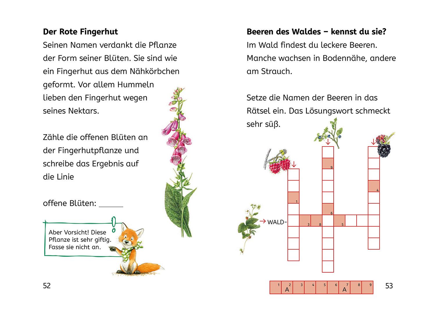 Lesen lernen mit Naturrätseln, Bücherhelden 2. Klasse, Tiere und Pflanzen im Wald (Mängelexemplar)