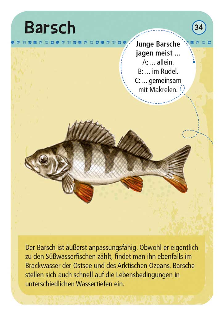 X_Expedition Natur - 50 heimische Strandtiere & Pflanzen