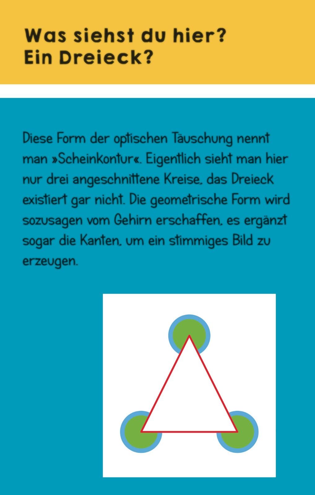 Optische Täuschungen (Mängelexemplar)