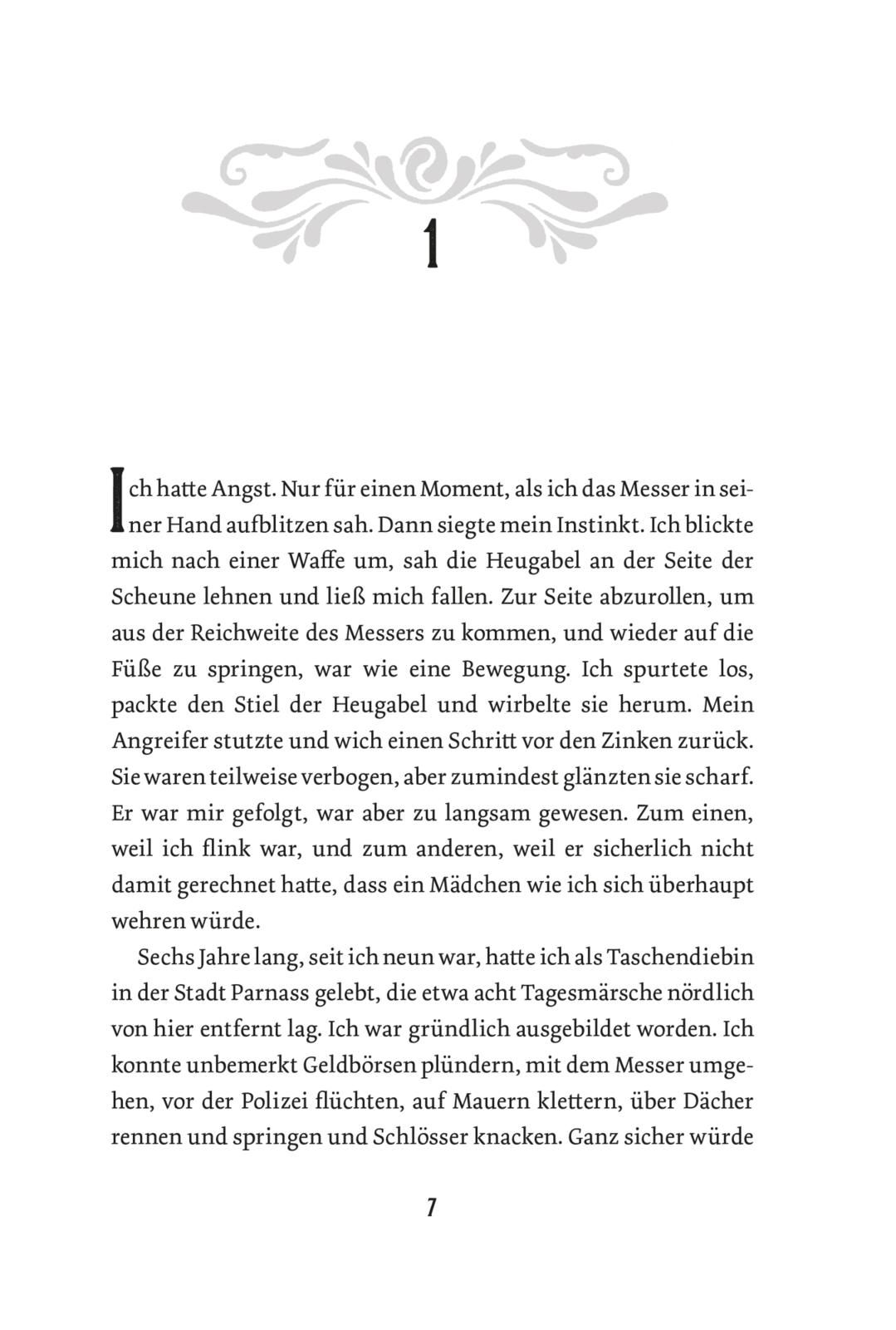 Stadt der Sänger und Verschwörer (Stadt der Magier 2) (Mängelexemplar)