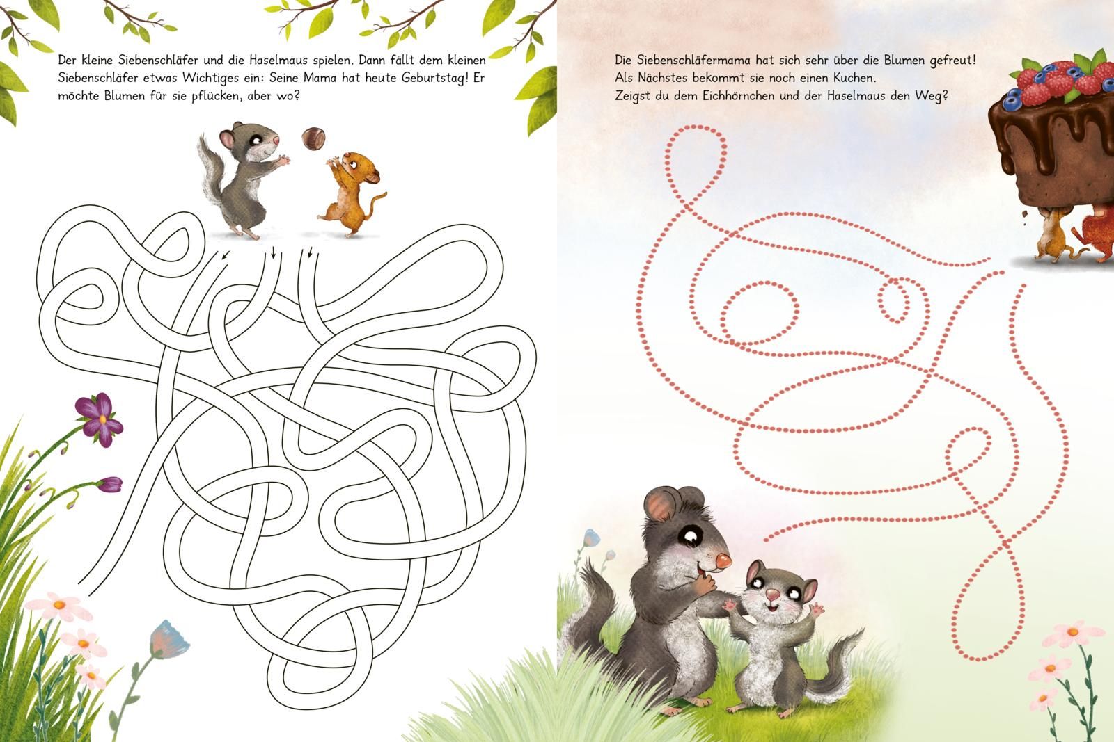 Der kleine Siebenschläfer: Zeig mir den Weg durchs Labyrinth! (Mängelexemplar)
