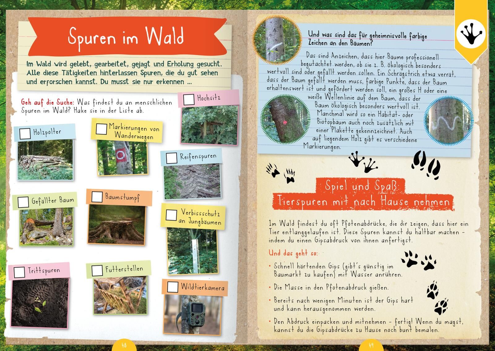 Naturforscher-Kids – Mitmachbuch im Wald (Mängelexemplar)
