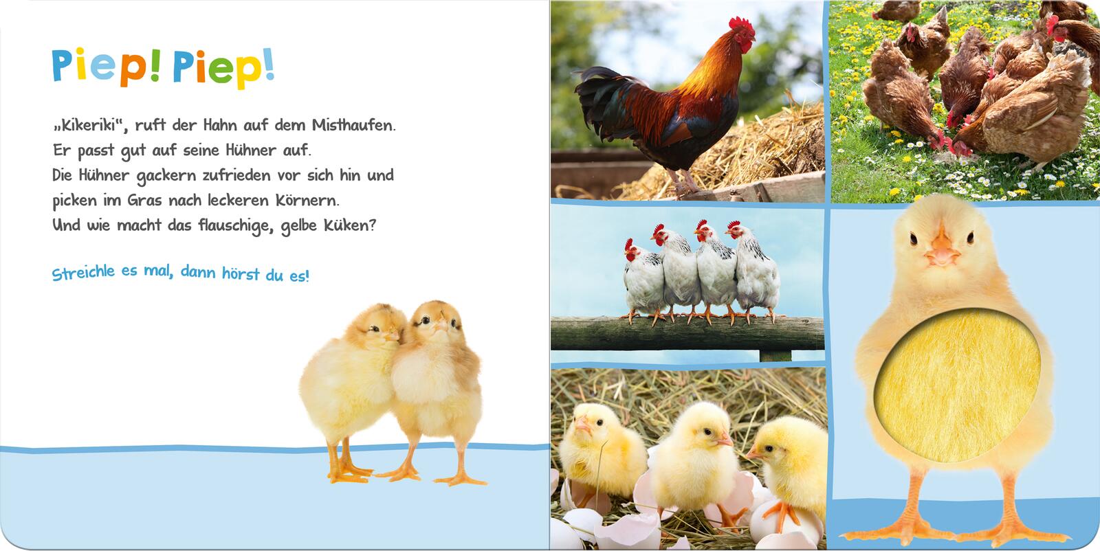 Hör mal rein, wer kann das sein? Bauernhoftiere - Soundbuch (Mängelexemplar)