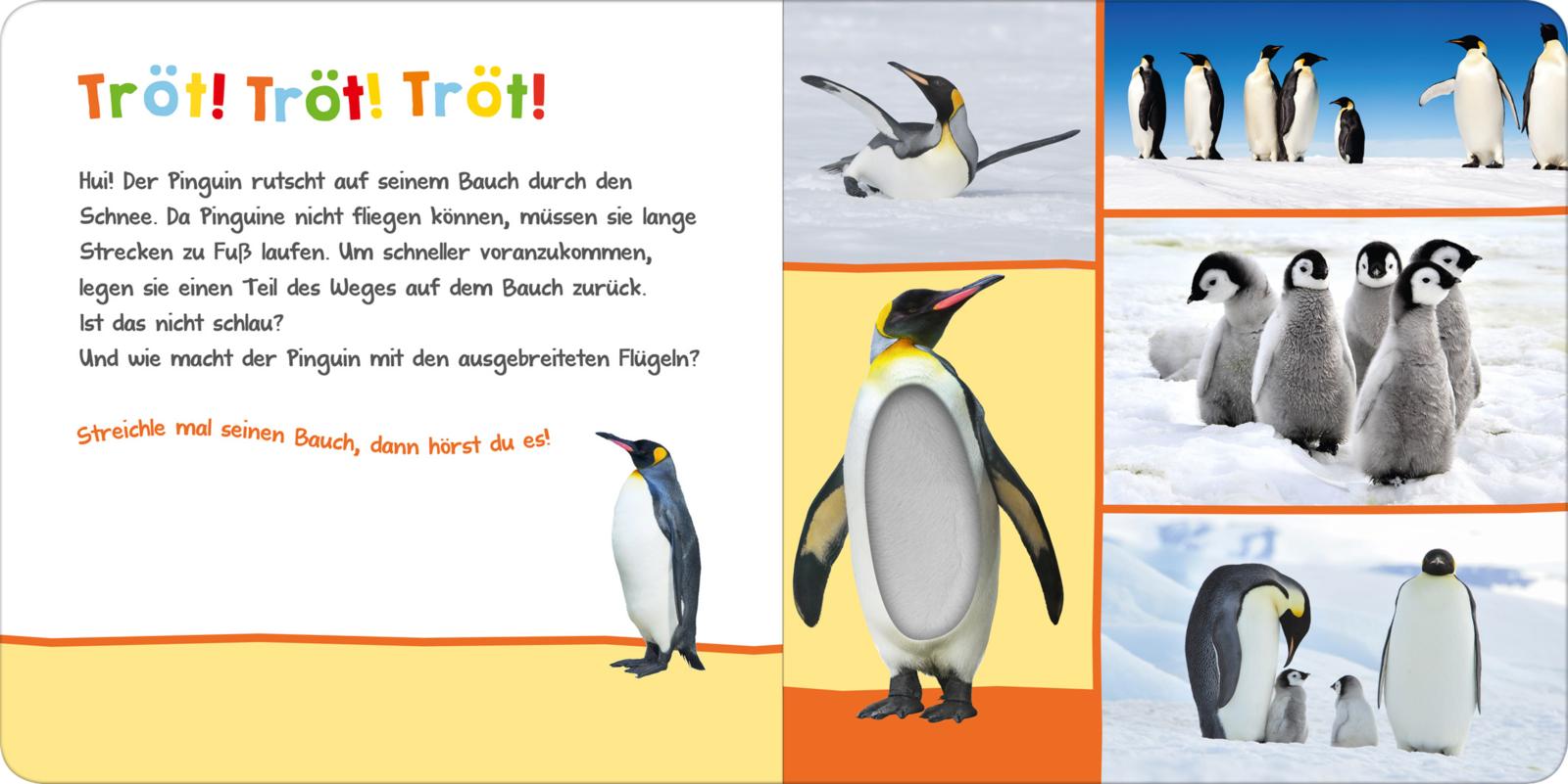 Hör mal rein, wer kann das sein? – Im Winter - Streicheln und hören - Soundbuch (Mängelexemplar)