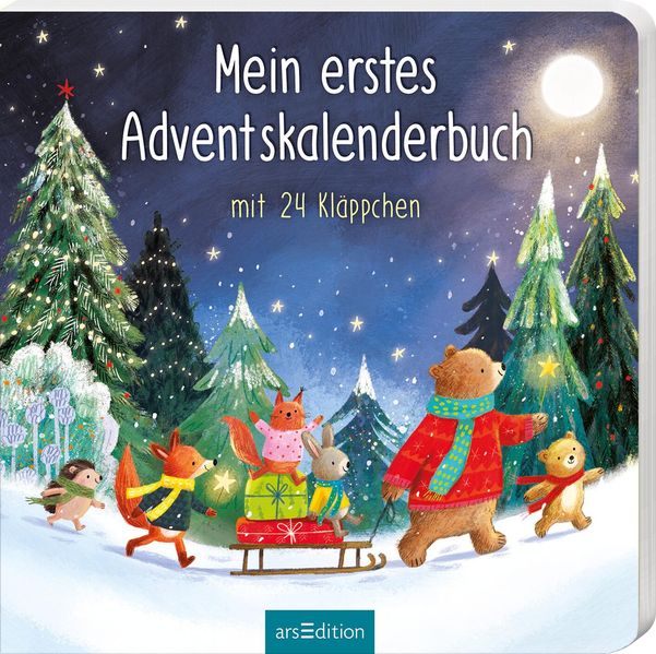 Mein erstes Adventskalenderbuch (Mängelexemplar)
